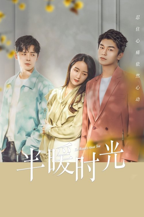 Póster de 半暖时光