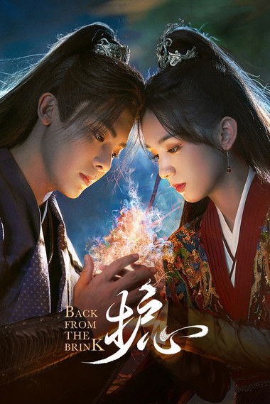 Póster de 护心