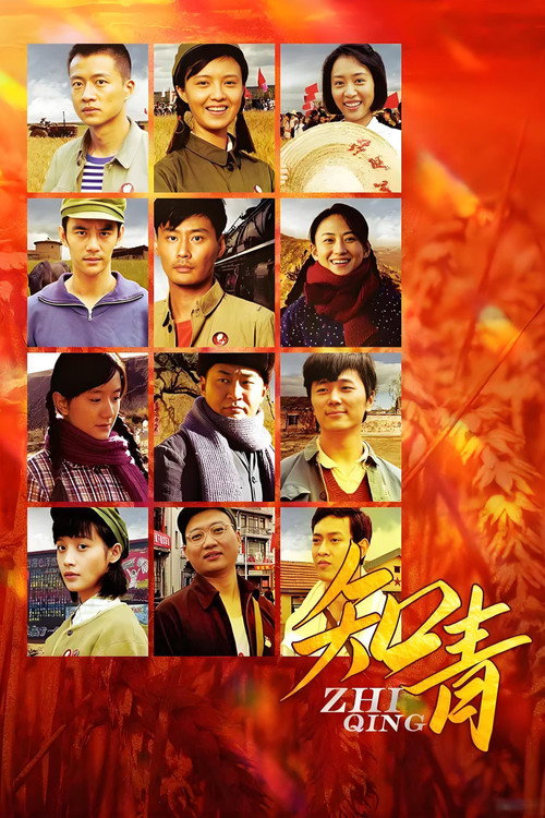 Póster de 知青