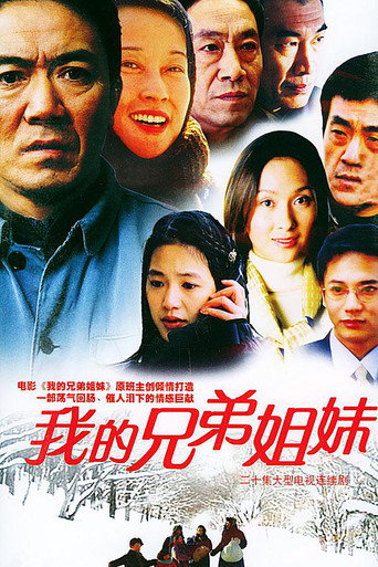 Póster de 我的兄弟姐妹