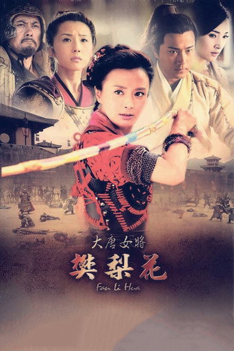 Póster de 大唐女将樊梨花
