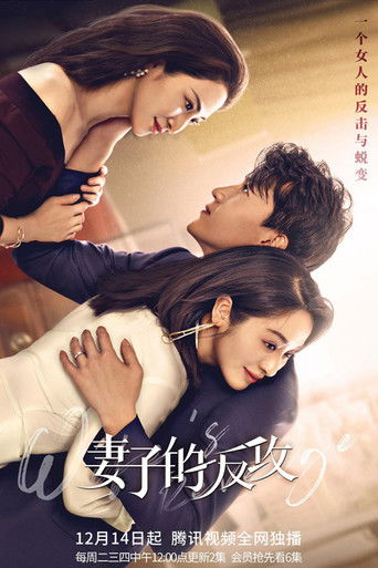 Póster de 妻子的反攻