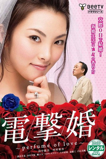 Póster de 電撃婚～perfume of love～