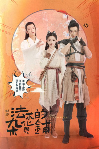 Póster de 贩卖法术的杂货铺