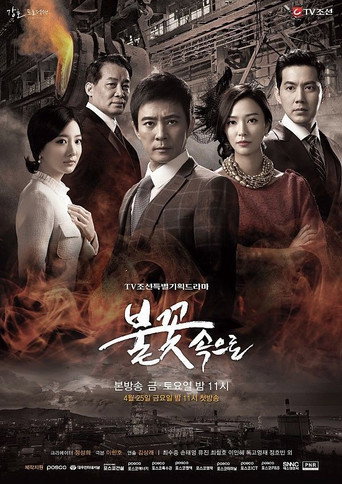 Póster de 불꽃속으로