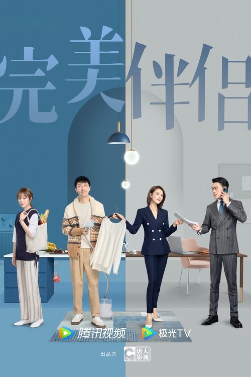 Póster de 完美伴侣