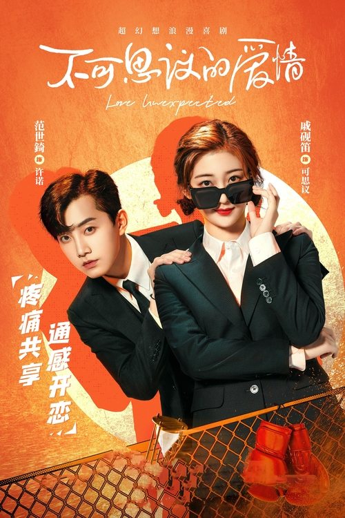 Póster de 不可思议的爱情