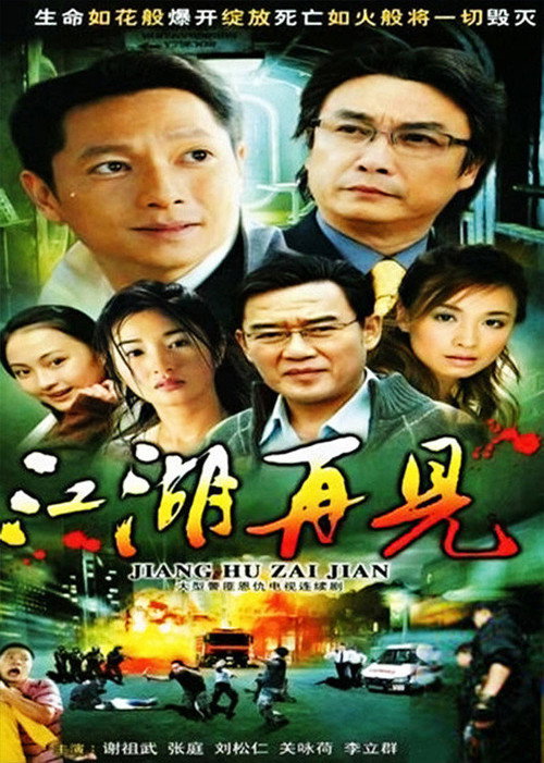Póster de 江湖再见