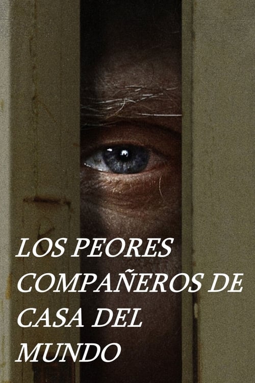 Póster de Los peores compañeros de casa del mundo