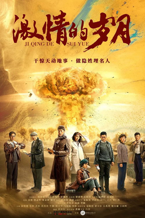 Póster de 激情的岁月