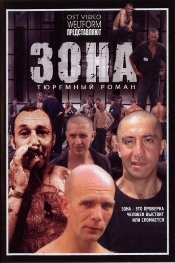 Póster de Зона