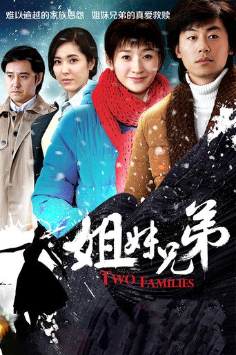 Póster de 姐妹兄弟