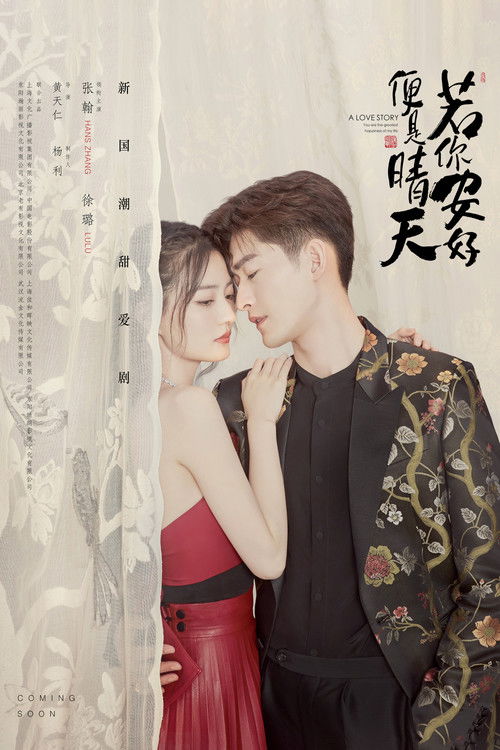 Póster de 若你安好便是晴天