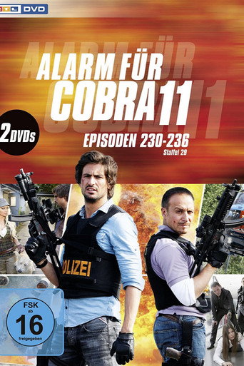 Temporada 31