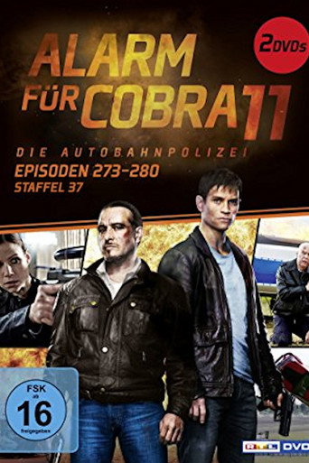 Temporada 37