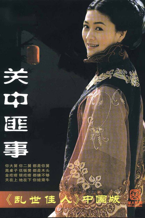 Póster de 关中匪事