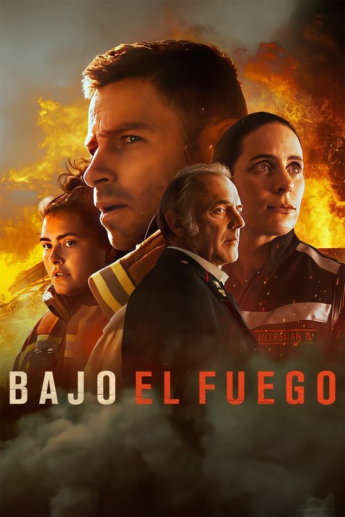 Póster de Bajo el fuego