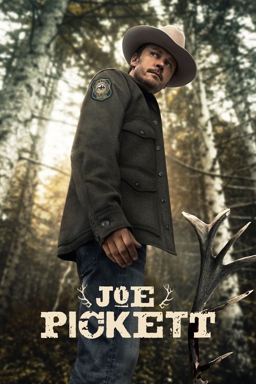Póster de Joe Pickett