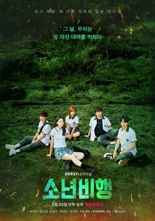 Póster de 소년비행