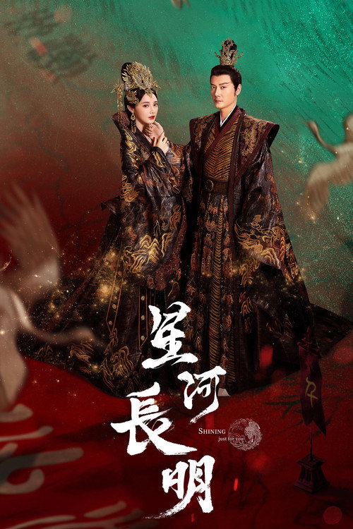Póster de 星河长明