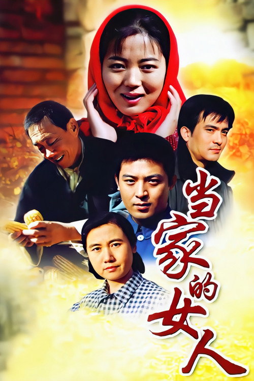 Póster de 当家的女人
