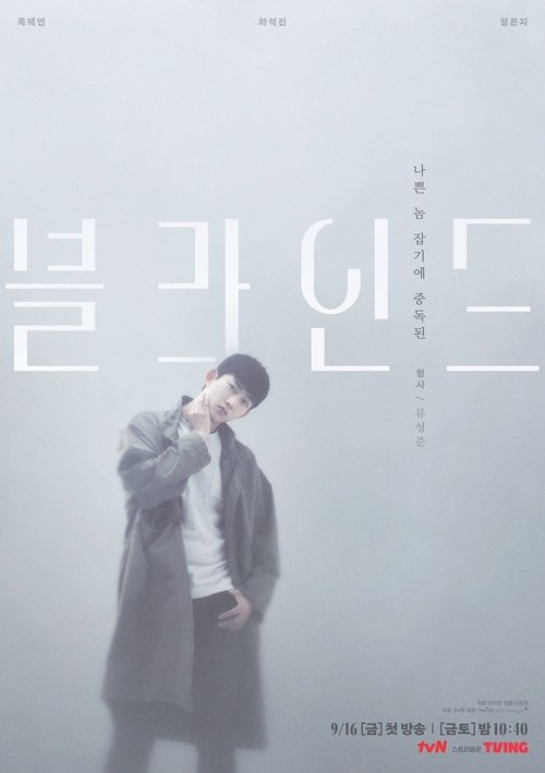 Póster de 블라인드