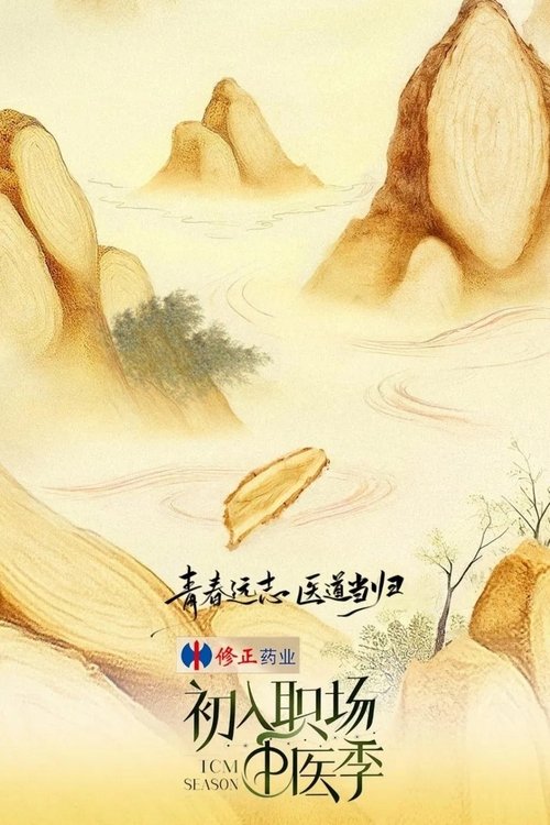 Póster de 初入职场