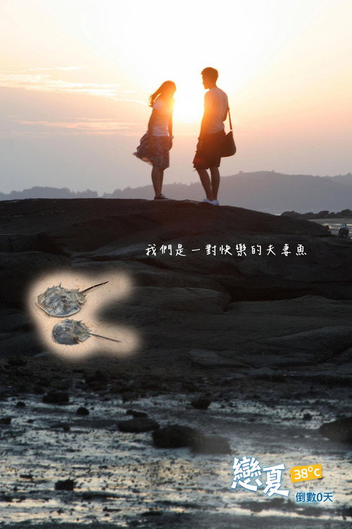 Póster de 戀夏38℃