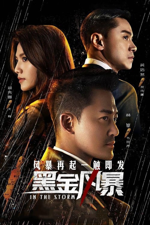 Póster de 黑金風暴