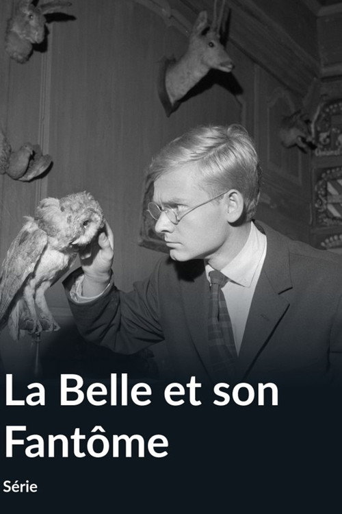 Póster de La Belle et son fantôme