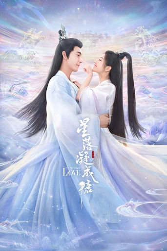 Póster de The Starry Love