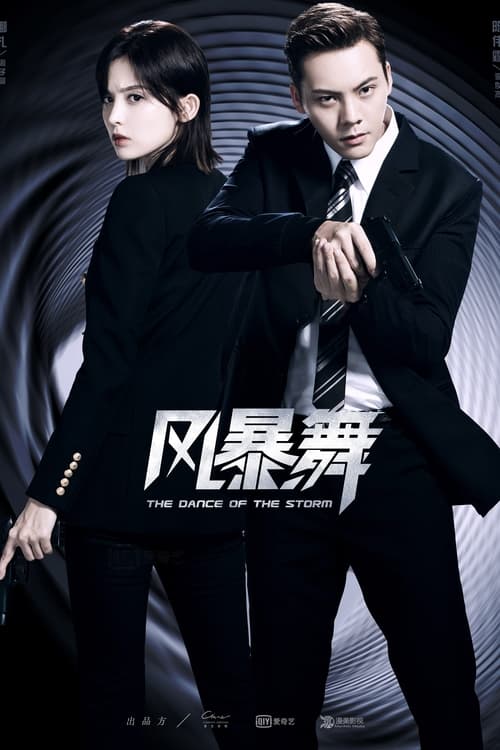 Póster de 风暴舞
