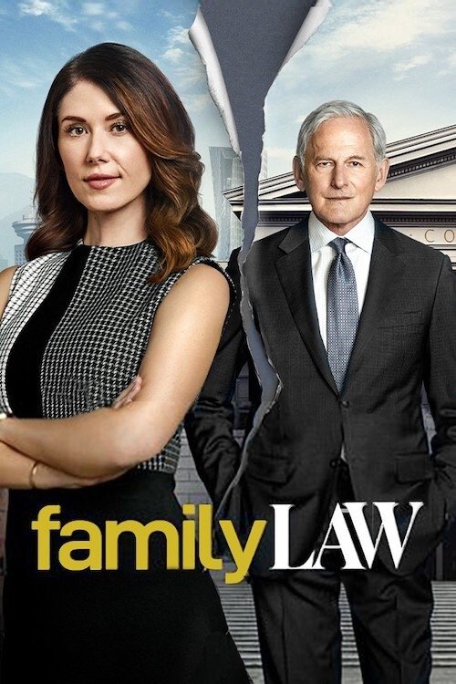 Póster de Casos de familia