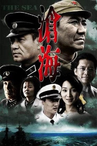 Póster de 沧海