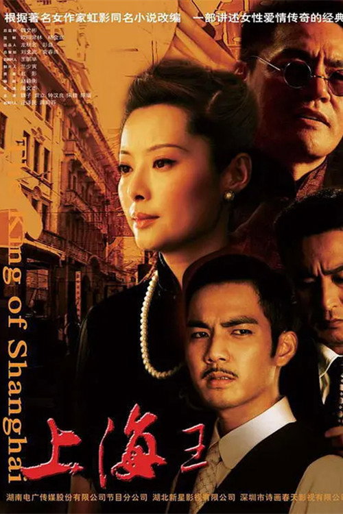 Póster de 上海王