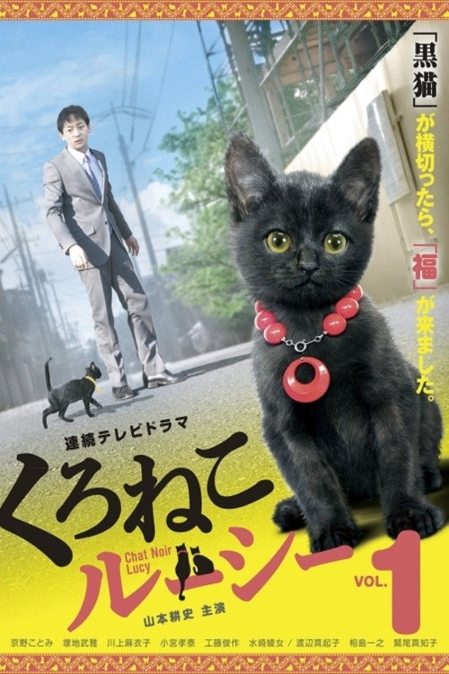 Póster de くろねこルーシー