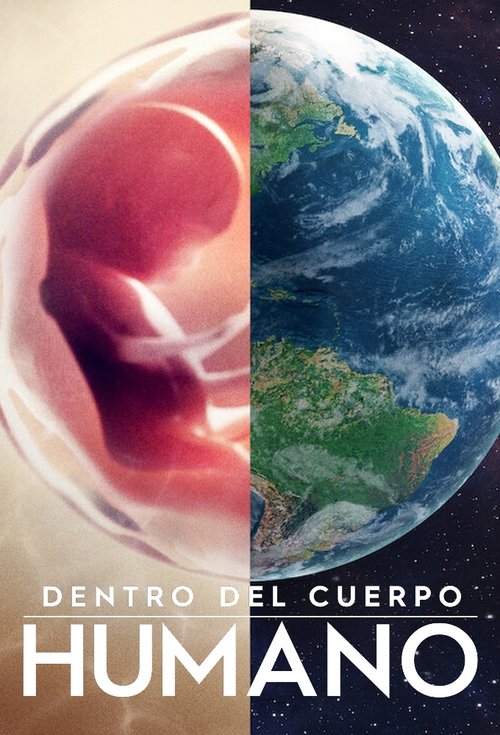 Póster de Cuerpo humano: Un mundo entrañable