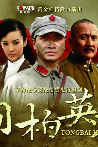 Póster de 桐柏英雄