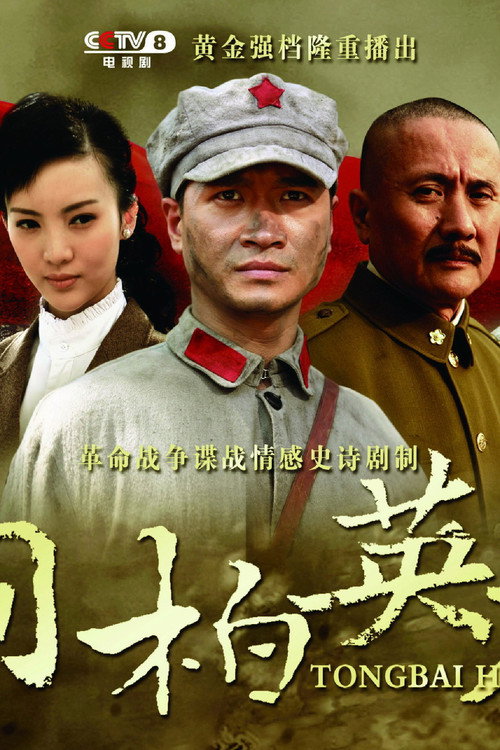 Póster de 桐柏英雄