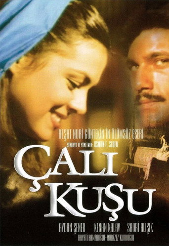 Póster de Çalıkuşu