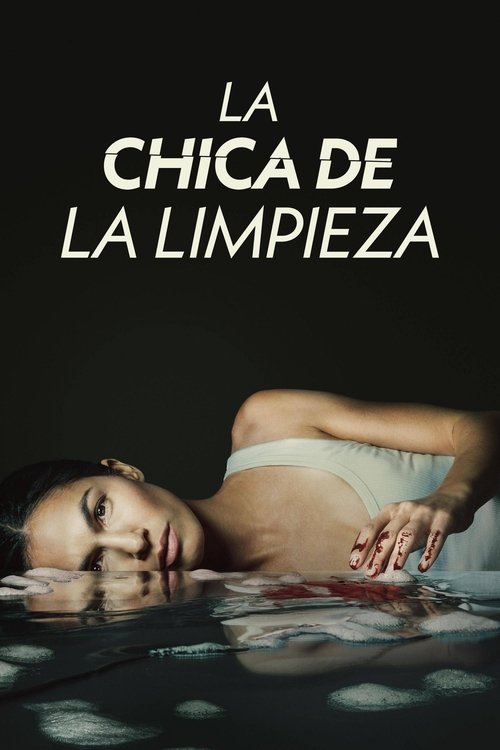 Póster de La chica de la limpieza