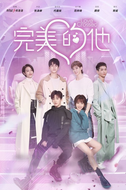 Póster de 完美的他