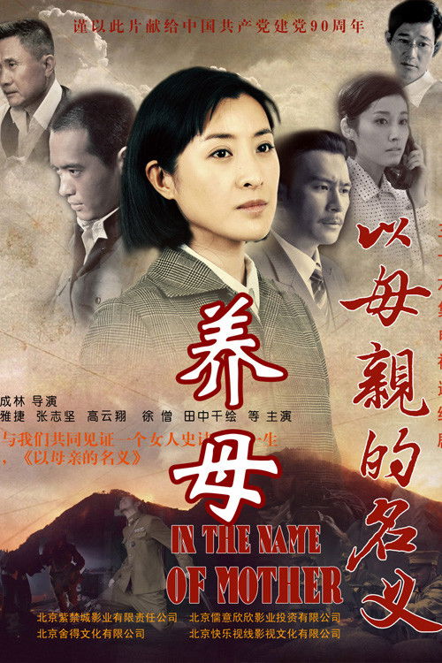 Póster de 养母