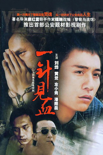 Póster de 一针见血