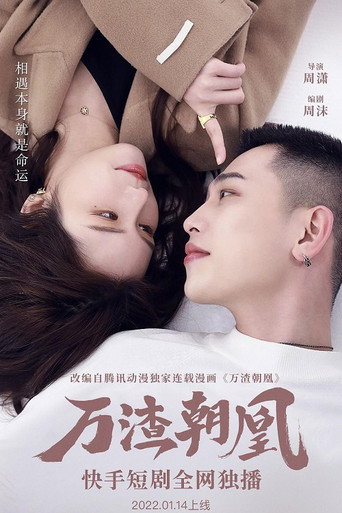 Póster de 万渣朝凰
