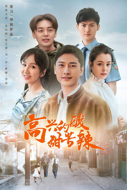 Póster de 高兴的酸甜苦辣