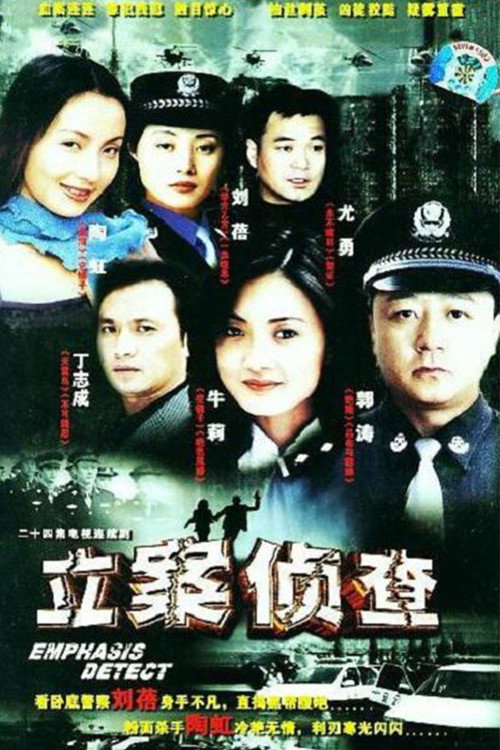 Póster de 立案侦查