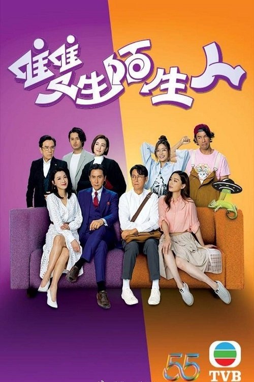 Póster de 雙生陌生人