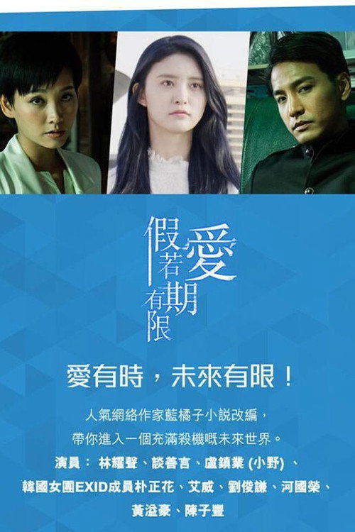 Póster de 假若愛有期限