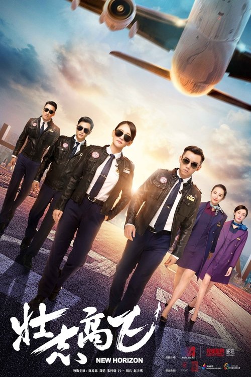 Póster de 壮志高飞